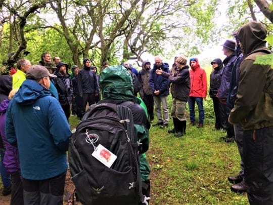 Group of volunteers in the woods