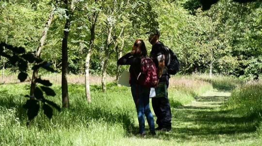 Two volunteers looking at a row of trees