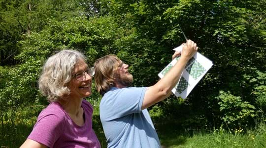 Two volunteers using a square grid to assess crown condition. Both smiling in the beautiful sunny weather!