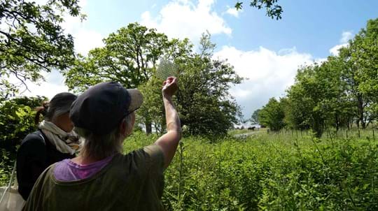 Volunteers investigating in the field